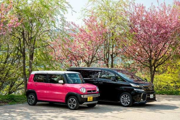 Shirakawa-go, Japan - May 3, 2019: Two japanese cars: pink Suzuki Hustler and black Toyota Vellfire parked near blossoming trees in Shirakawa-go.
