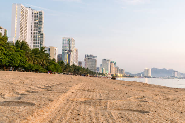 istock Beach with tropical trees on shore and tall building at dawn 1152033534