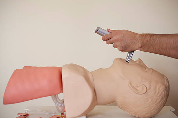 Intubation of a cpr doll XXXL stock photo