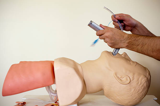 Intubation of a cpr doll XXXL stock photo