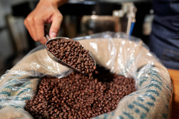 istock Quality arabica on factory 1152035720