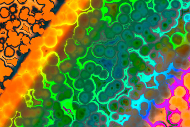istock Shape of bacterial cell: cocci, bacilli, spirilla bacteria 1152040584
