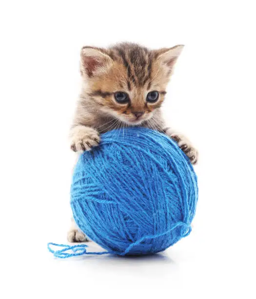 Kitten with a ball on a white background.
