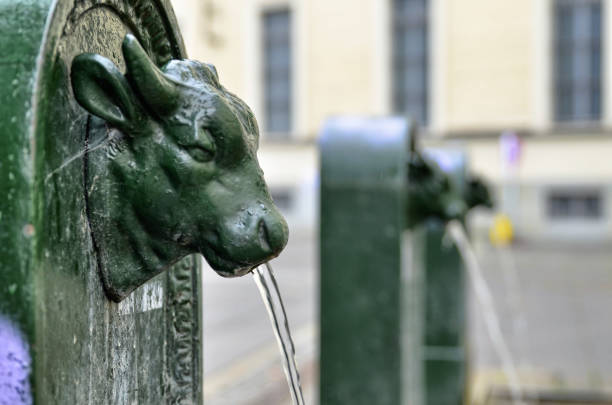 Turin, Piedmont, Italy. May 2019. A look at Piazza Gian Lorenzo Bernini. A triptych of drinking water fountains, the first shows the clear bull's head and the others blurred in the background.