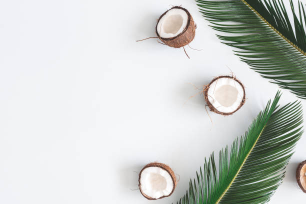 istock Summer composition. Coconut, palm leaf on pastel gray background. Summer concept. Flat lay, top view, copy space 1152042030