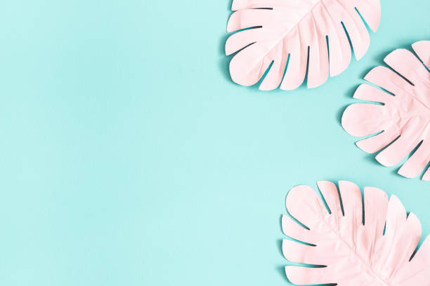 istock Summer composition. Pink palm leaves on blue background. Summer concept. Flat lay, top view, copy space 1152043230