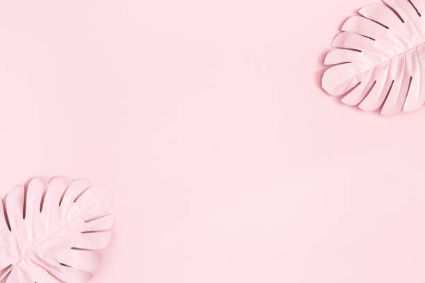 istock Summer composition. Tropical palm leaves on pink background. Summer concept. Flat lay, top view, copy space 1152043420
