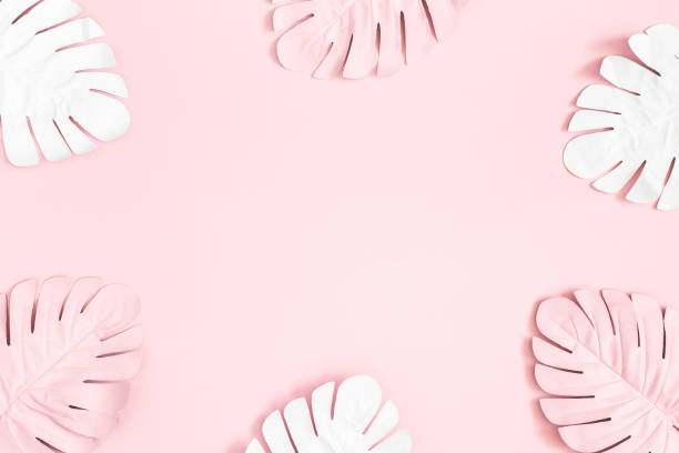 istock Summer composition. Tropical palm leaves on pink background. Summer concept. Flat lay, top view, copy space 1152043552