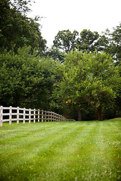 istock lush green fenced landscape 115204604
