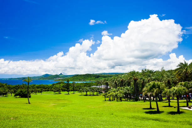 Beautiful grassland in Kenting National Park, South Taiwan.