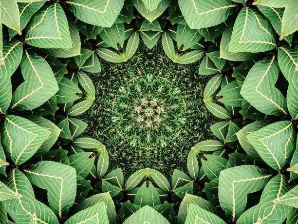 Photo of Kaleidoscopic oil painted leaf background