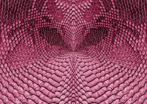 Snake skin background. Close up reptile texture.