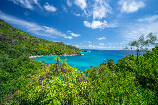 istock hike to deserted tropical beach 1152052429