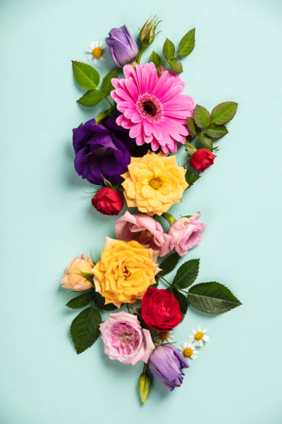 istock Creative layout made with beautiful flowers on blue background. Flat lay. Spring minimal concept 1152054429