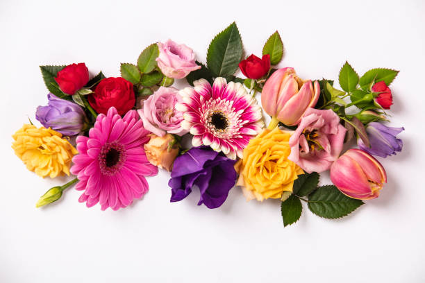 istock Creative layout made with beautiful flowers on white background. 1152054436
