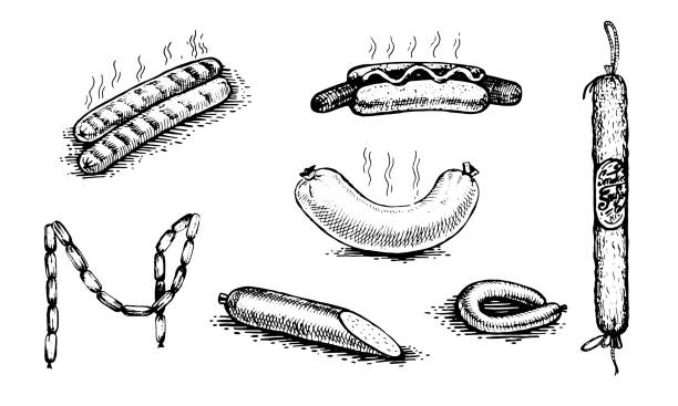 illustrations, cliparts, dessins animés et icônes de hot-dog, saucisse, salami. produits naturels et mode de vie sain, produits délicieux, un ensemble de modèles pour la conception de menu, restaurants et restauration. - saucisse
