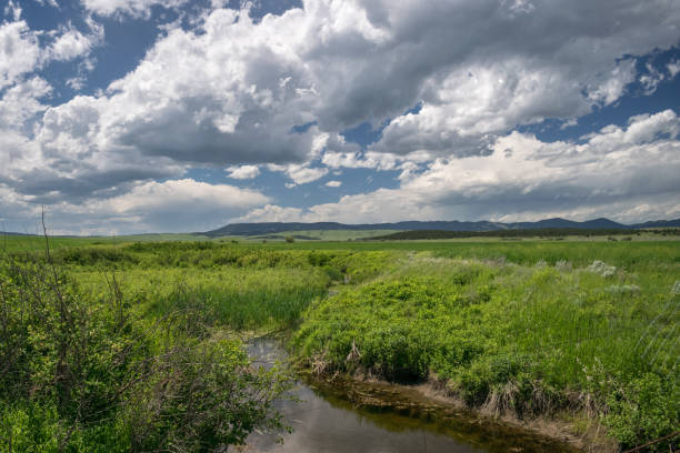 arroyo y hierba de la pradera con las montañas en la distancia cerca de lewistown, montana. - lewistown fotografías e imágenes de stock