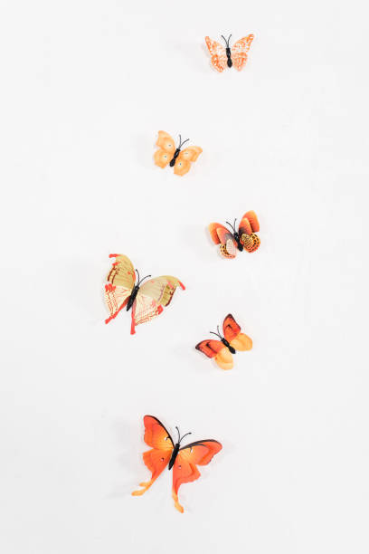 istock orange butterflies flying isolated on white, environmental saving concept 1152056424