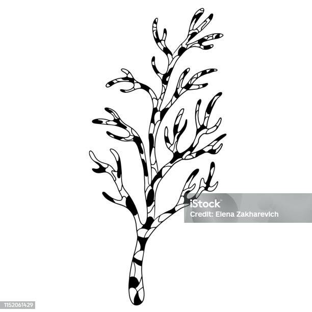 Strange Spotted Mosaic Tree Mysterious Forest Handdrawn Line Art On A White Background Stock Illustration - Download Image Now