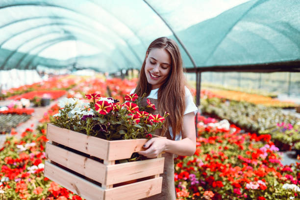 istock Beautiful Female Sorting Flowers In Specific Pots And Places 1152062481