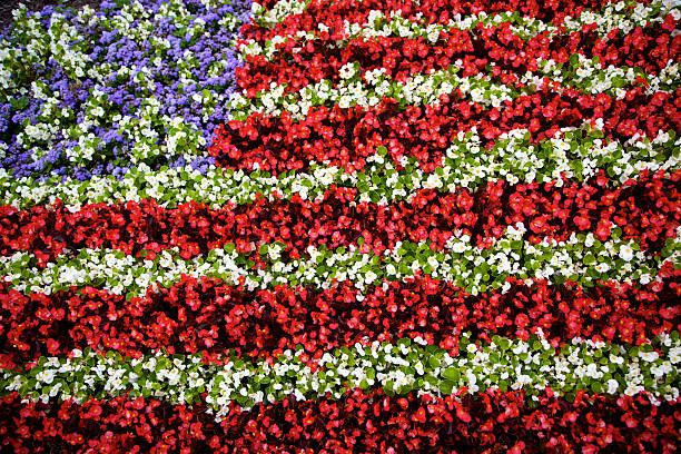 brilliant flower flag design