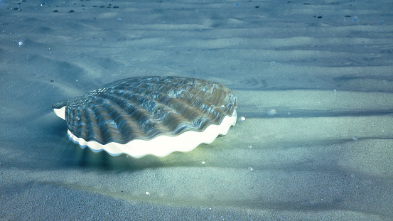 Mother of pearls underwater. Closed sea shell underwater self-luminous from the inside. Oysters and pearls on the underwater sandy seabed. Sunlight beams and shine through water. 3D Illustration