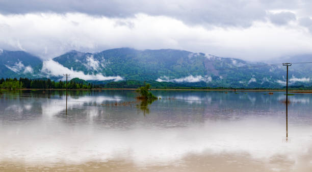 istock A lonely island in the flooded Murnauer moss 1152066731