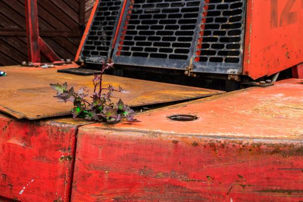 istock A plant grows from a pile of metal 1152067510