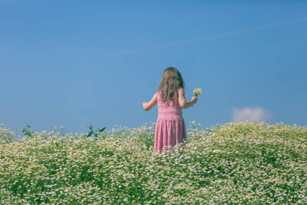 istock Little girl picking flowers 1152068102