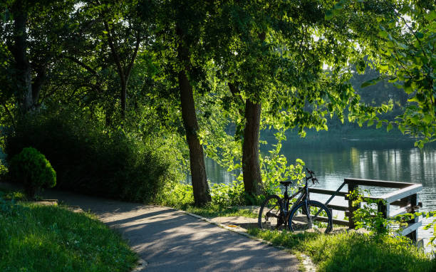 istock Bicycle by the Lake 1152071578