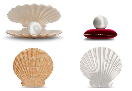 Set of sea shell with pearl inside. Collection gems, women's jewelry, nacre beads. Pearl on red velvet pillow. Set sea shells front view, shiny sea pearls isolated on white background. 3d illustration