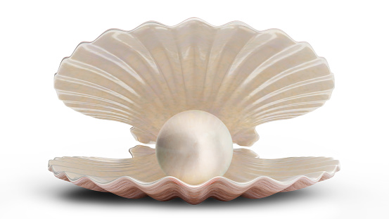 Sea shells with pearl inside. Gem, women's jewelry, nacre bead. For your banner, poster, logo. Sea shell, shiny sea pearl isolated on white background. 3d illustration