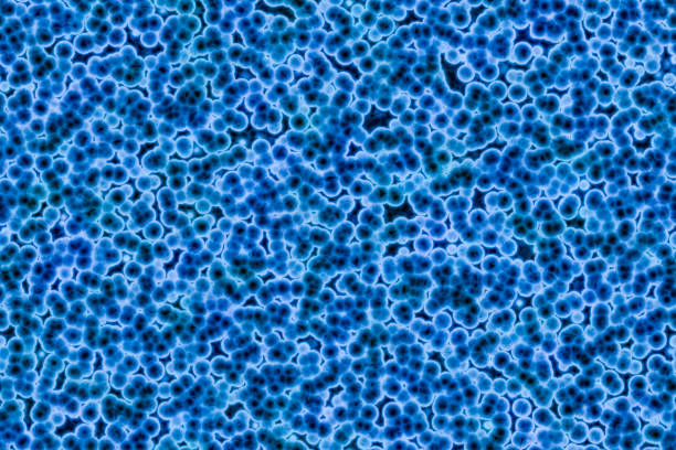 Shape of bacterial cell: cocci, bacilli, spirilla bacteria background