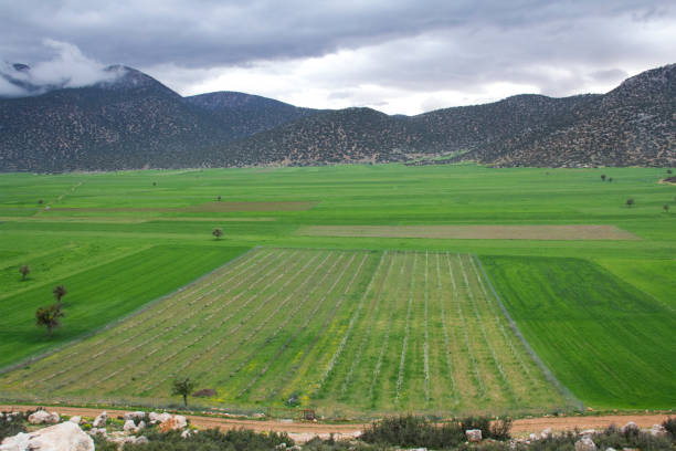 istock Minimalist field photo. 1152075716