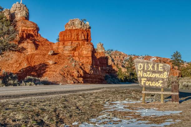 istock Dixie National Forest is Located in Utah 1152077058