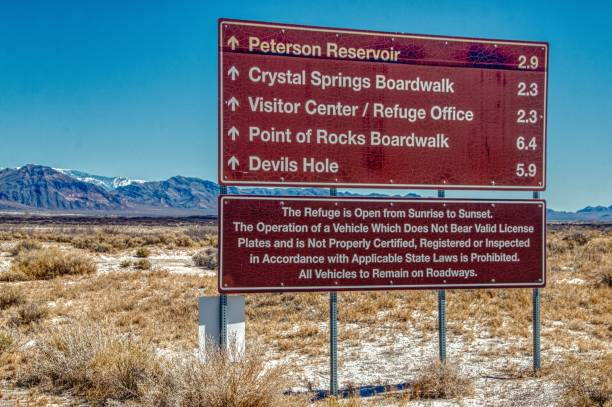 istock Ash Meadows National Wildlife Refuge in Nevada 1152077092