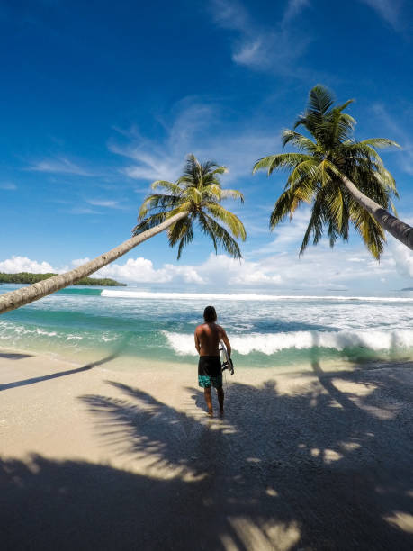 el hombre con una tabla de surf entre dos palmeras - mentawai islands rural scene sumatra indonesia fotografías e imágenes de stock