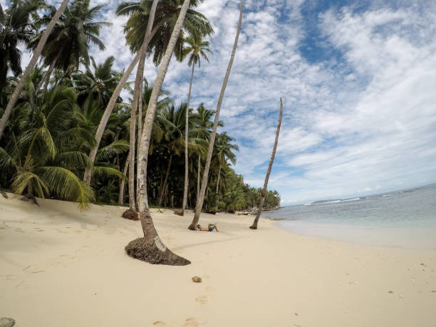 hombre acostado bajo la palmera en la playa - mentawai islands rural scene sumatra indonesia fotografías e imágenes de stock