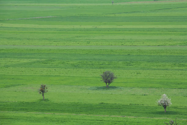 Agricultural Field, Dusk, Springtime, Storm, Summer