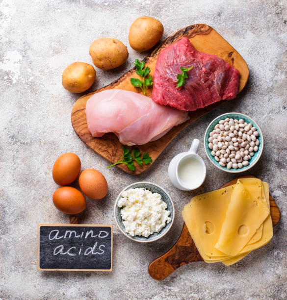 istock Products rich in amino acids. 1152077931