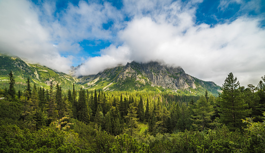 Mountain Landscape with Lush Vegetation and Cloudy Sky during the Day. Mengusovska Valley, High Tatras, Slovakia