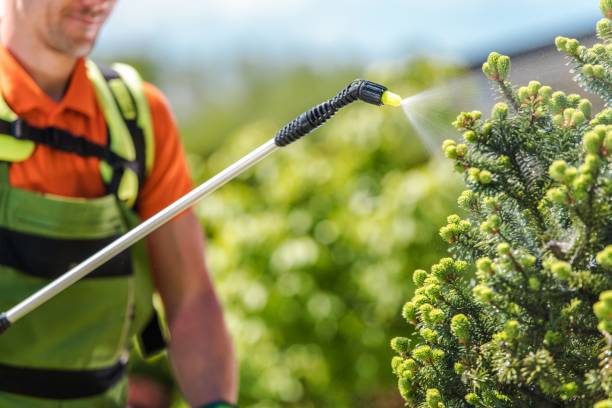 Insecticide Garden Equipment Gardener with Professional Insecticide Garden Equipment Spraying Trees to Keep Them in Good Health. apply fertilizer stock pictures, royalty-free photos & images