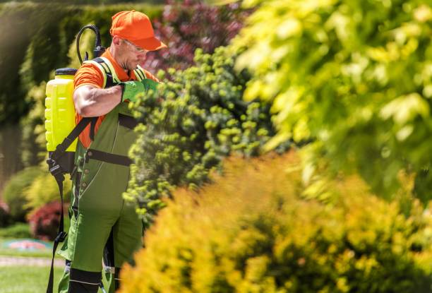 istock Garden Fertilizer Equipment 1152082209