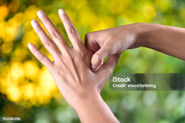 Acupressure Self Medication Concept In Outdoor Sunlight Stock Photo - Download Image Now