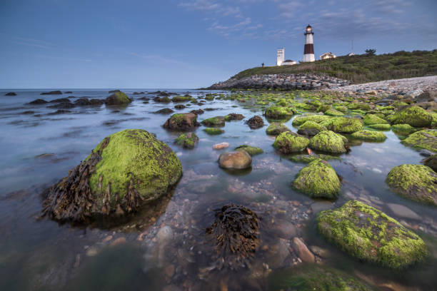 istock Montauk Point Light, Lighthouse, Long Island, New York, Suffolk 1152086129