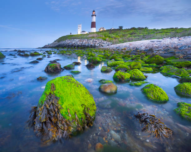 istock Montauk Point Light, Lighthouse, Long Island, New York, Suffolk 1152086145