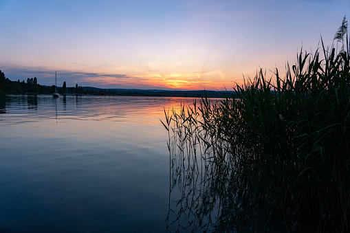 Nature and reed reflection on the Lake Balaton in Hungary at sunset in Thany