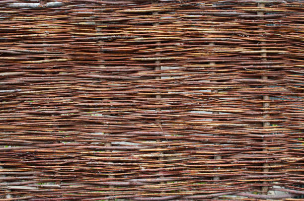 Fragment fence of thin twigs as a background.