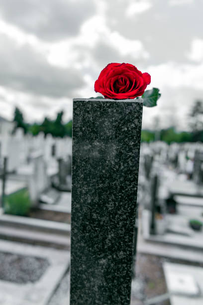 istock Flower on memorial stone close up 1152090752