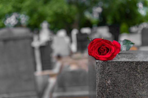 istock Flower on memorial stone close up 1152090762